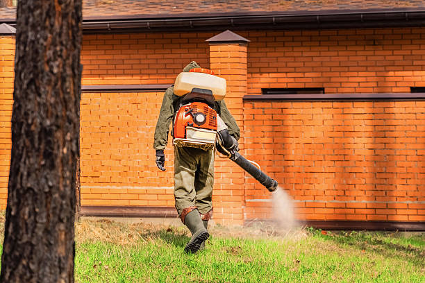 Trusted Cockroach Control service in Bowling Green, VA - Nex Pest Control